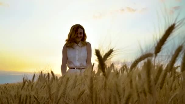 Gün batımında buğday tarlasında buğday kulaklarına dokunan genç kız — Stok video