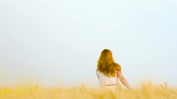 Ragazza positiva in esecuzione in campo di grano dorato con cielo sullo sfondo — Video Stock