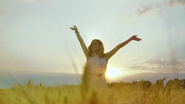 Menina feliz levantando as mãos no campo de trigo ao pôr do sol — Vídeo de Stock