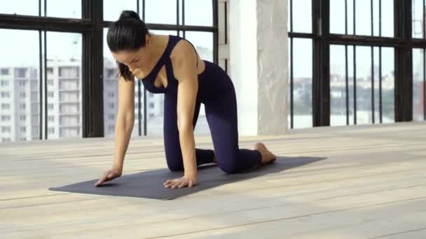 Sporty brunette in training overall doing pilates in studio — Stock Video