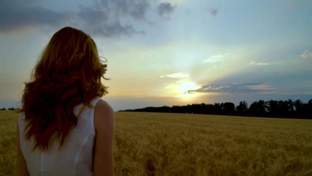 Rusovlasá dívka, která pozoruje západ slunce na pšeničném poli — Stock video