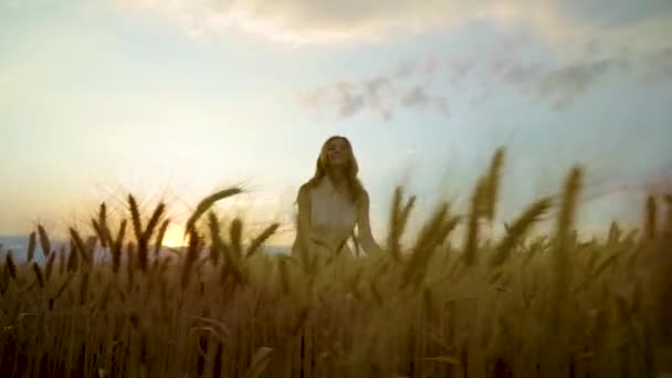 Pozitivní černovlasá dívka běžící na pšeničném poli při západu slunce — Stock video