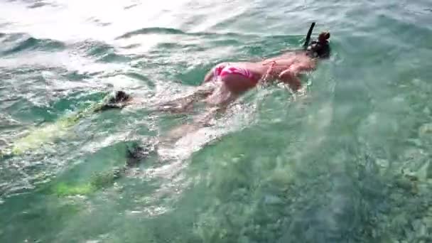 Deportivo adolescente explorar el fondo del mar en verano — Vídeo de stock