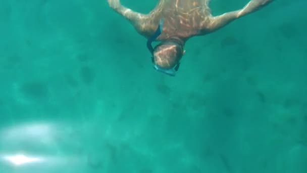 Athletic diver swimming under water with mask and flippers — Stock Video