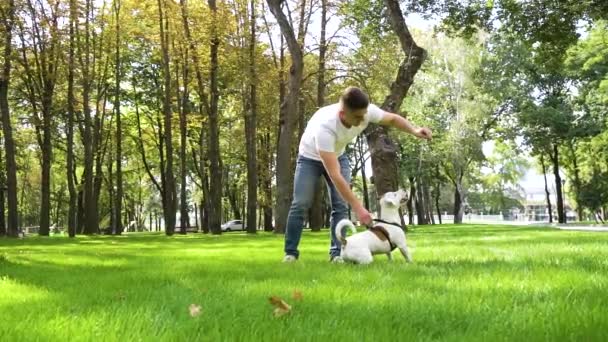 Jovem brincando com seu cachorro bonito no parque de verão — Vídeo de Stock