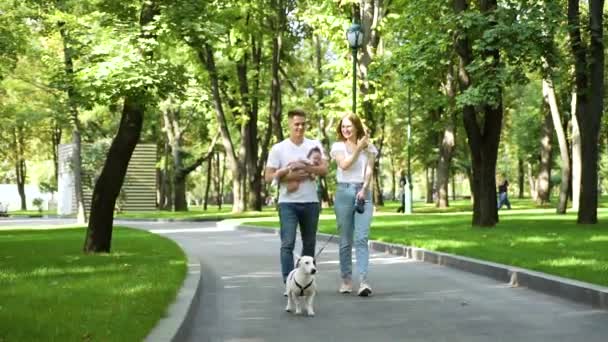 Young family with newborn baby walking dog in summer park — Stock Video