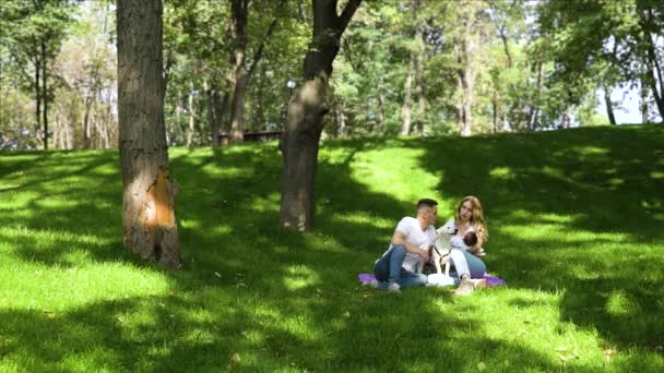 Young family with newborn baby walking dog in summer park — Stock Video