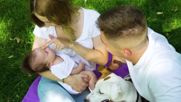 Jeune famille avec bébé mignon et animal de compagnie assis sur la couverture dans le parc d'été — Video