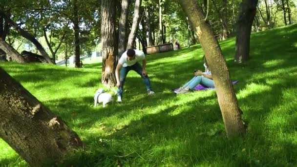 Mladí rodiče s dětskou a psí relaxační v letním parku — Stock video