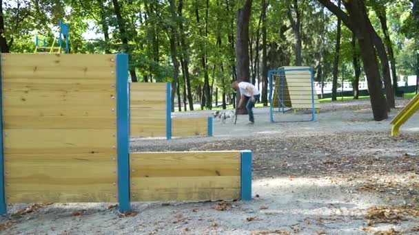 Cheerful owner training his pet Jack Russell Terrier on doggy playground — Stock Video