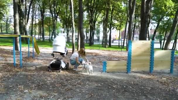 Caring girl giving water to her dog Jack Russell Terrier on playground — Stock Video