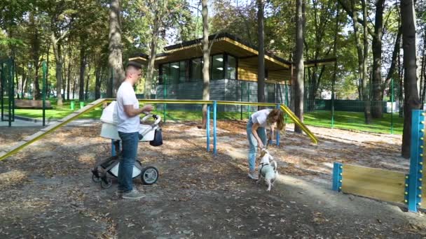 Jong stel met baby buggy plezier met hond Jack Russell Terrier buiten — Stockvideo