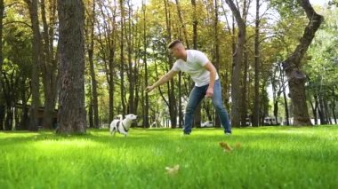 Yakışıklı genç adam yaz parkında köpeği Jack Russell ile eğlence harcama