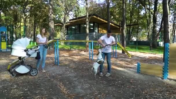 Família alegre com bebê e cachorro no playground — Vídeo de Stock