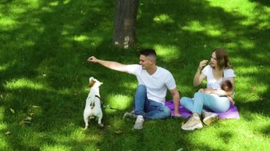 Sevgi dolu anne yeşil çim üzerinde bebek ve köpek ile yaz günü harcama