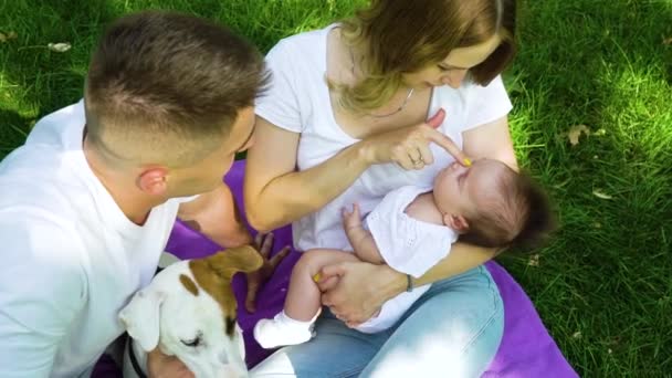 Jonge ouders zitten met zoete baby en huisdier in zomerpark — Stockvideo