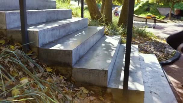 Young women in sportswear running on concrete stairs in park — Stock Video