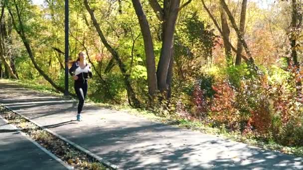 Attractive fit girl having break after jogging in city park in autumn — Stock Video