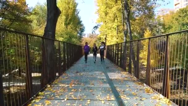 Actieve fitte vrienden samen joggen op brug in park — Stockvideo