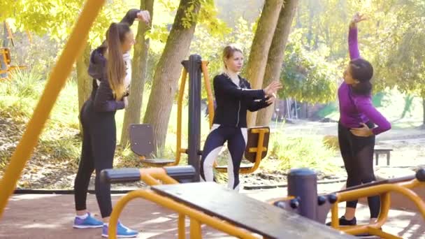 Vielfältige Sportlergruppe dehnt sich am sonnigen Tag auf dem Sportplatz — Stockvideo