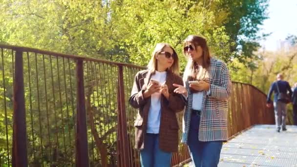 Blogueurs de voyage avec smartphones marchant sur le pont dans un parc ensoleillé — Video