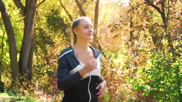 Active fit girl jogging in sunny park in autumn — Stock Video