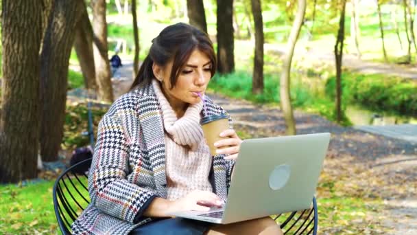 Elegante chica de compras en línea mientras está sentado en el parque público — Vídeos de Stock