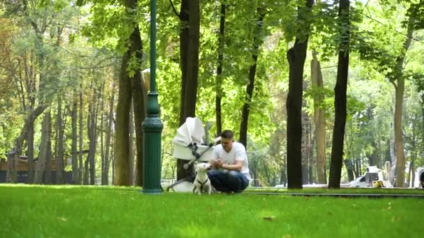 Молодий батько грає з собакою Джек Рассел - Терр "є в парку. — стокове відео