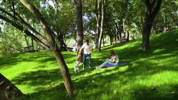 Dia da família no parque público com bebê e cachorro — Vídeo de Stock