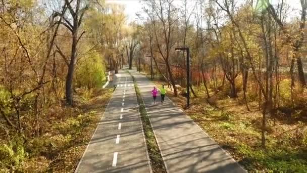 Man and woman jogging in autumn park in the morning — Stock Video