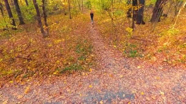 Подтянутая девочка и американский мордобой-терьер поют на пешеходной дорожке в лесу — стоковое видео