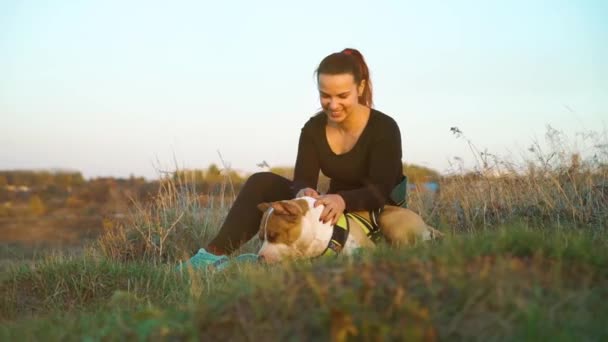 Fröhliches Mädchen streichelt amerikanischen Staffordshire Terrier im hohen Gras bei Sonnenuntergang — Stockvideo