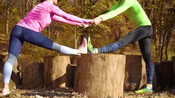 Glada par som håller händer och motionerar i höstskogen — Stockvideo