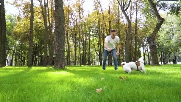 Щасливий власник грає зі своєю чистою собакою в літньому парку — стокове відео