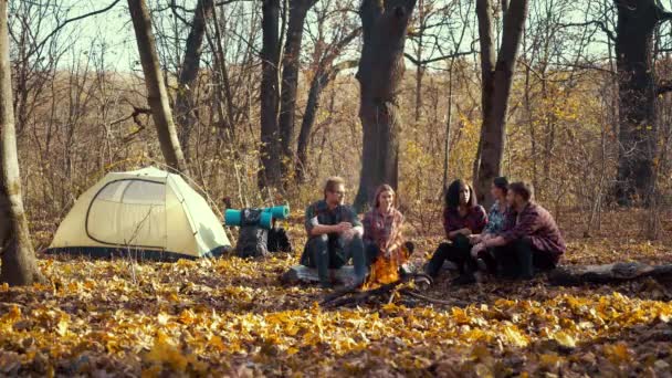 Молоді кемпери розмовляють біля багаття в осінньому лісі — стокове відео