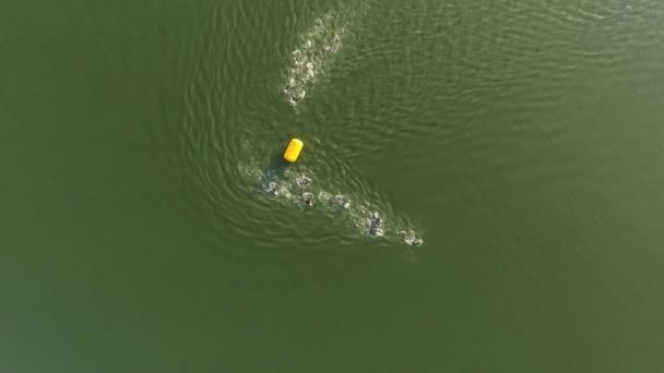 Vista aérea de atletas nadadores nadando carrera en el río cámara lenta — Vídeos de Stock