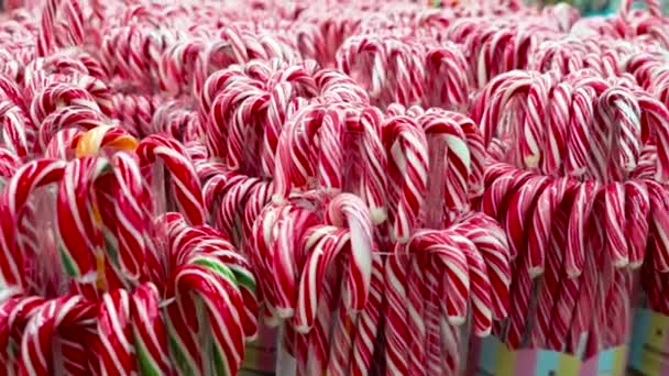 Kobieta strony wybiera Christmas Candy trzciny w sklepie cukierniczym — Wideo stockowe