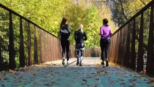 Активные девушки бегают по мосту утром — стоковое видео