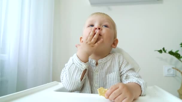 Menino sentado na cadeira alta e comendo biscoito — Vídeo de Stock