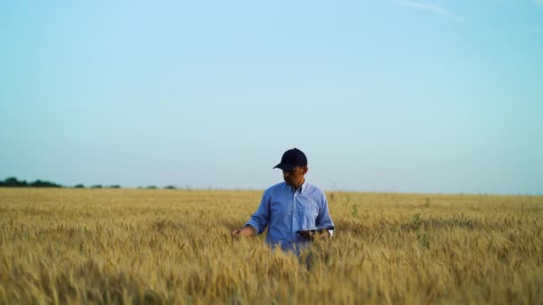 Specialista di terreni agricoli che esamina le colture nel campo di grano e prende appunti su tavoletta — Video Stock