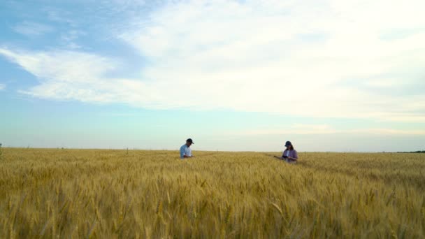 Squadra di agronomi che controllano la maturazione delle colture nel campo di grano in estate — Video Stock