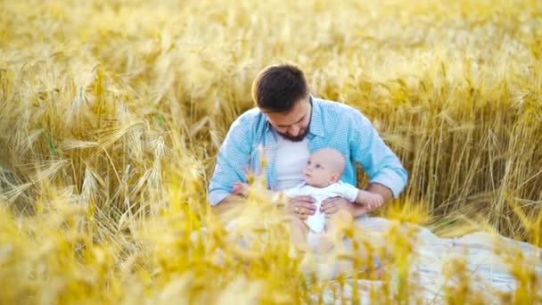 Lycklig far kramar och kysser bedårande baby i vetefält på sommaren — Stockvideo