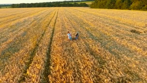 Vzduch šťastné rodiny s dítětem na pšeničném poli v létě — Stock video
