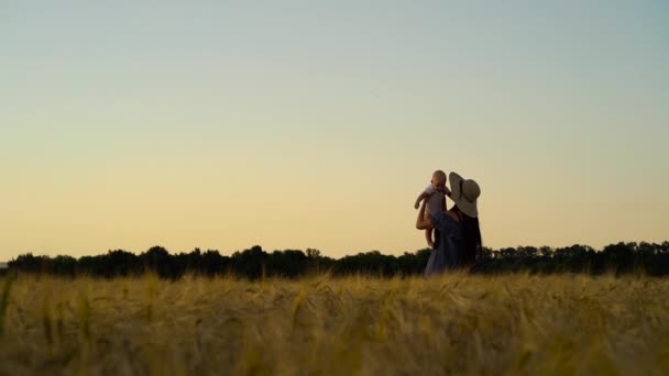 Młoda matka bawi się z dzieckiem na polu pszenicy o zachodzie słońca — Wideo stockowe
