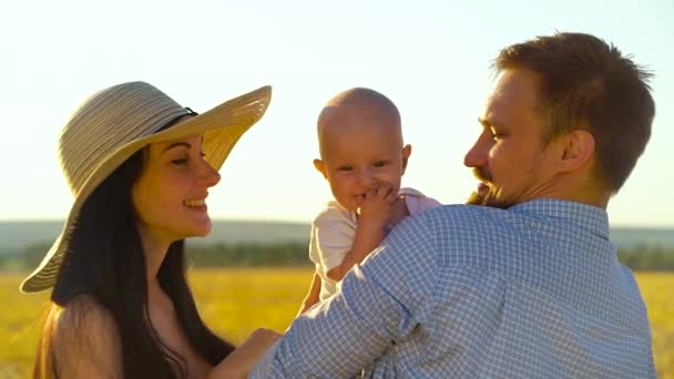 Les parents aimants embrassant et embrassant bébé dans le champ de blé — Video