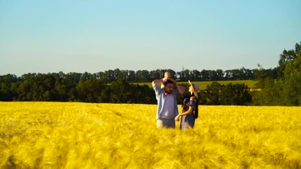 Milující rodiče a roztomilé dítě tráví čas v pšeničném poli v létě — Stock video