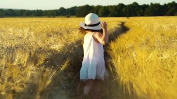 Ευτυχισμένο κορίτσι τρέχει στο μονοπάτι ανάμεσα σε χωράφια σιταριού — Αρχείο Βίντεο