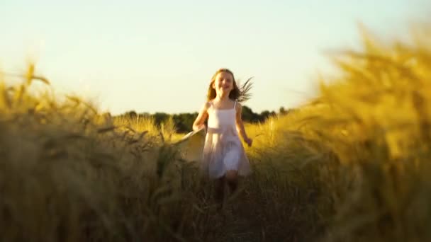 Κοριτσάκι που τρέχει στο μονοπάτι στο χωράφι με το σιτάρι το ηλιοβασίλεμα — Αρχείο Βίντεο