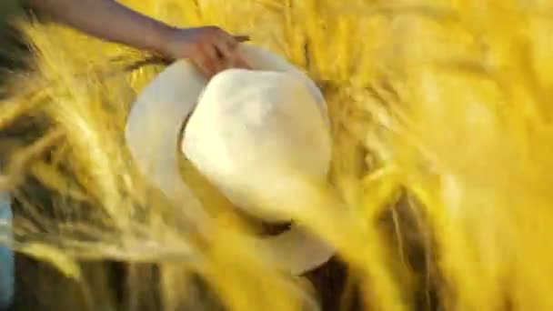 Hand van een klein meisje met strohoed en rennend in tarweveld — Stockvideo