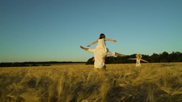 Buon papà che porta il bambino sulle spalle e si avvicina alla mamma nel campo di grano — Video Stock